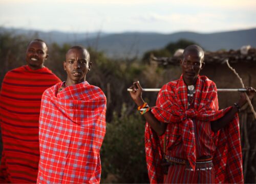 13 days-Luxury Kenya Safari Package