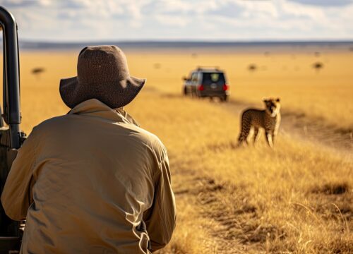 4 days amazing wildlife safari