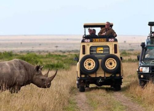 18 days Masai Mara Safari Packages: Great Migration and Beach Vacation