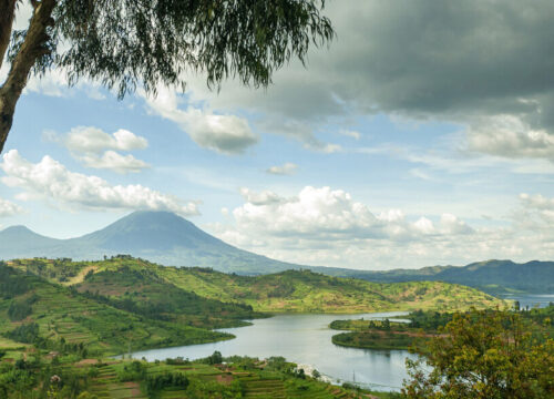 10 Days - Rwanda Discovery (Game Drives + Gorillas + Chimps)