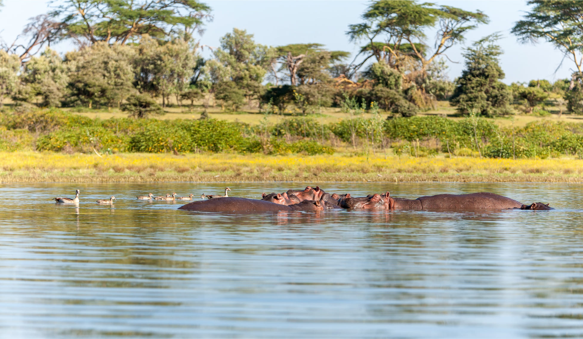 9 Days Lake Manyara – Serengeti – Ngorongoro Crater Safari